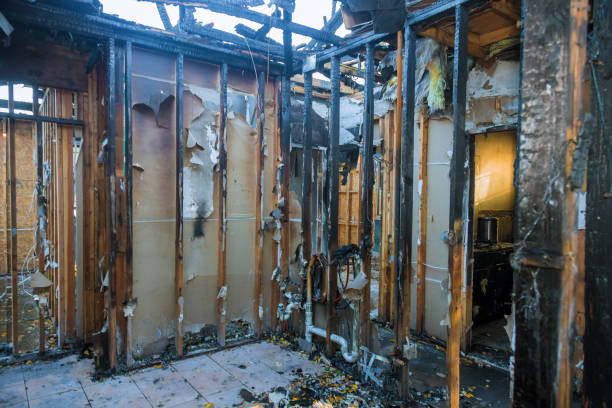 Professional Fire Damage Assessment technician working in Monroe, IA